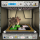 Image for article titled NASA's New App is 'The Sims' in Space, With Plants
